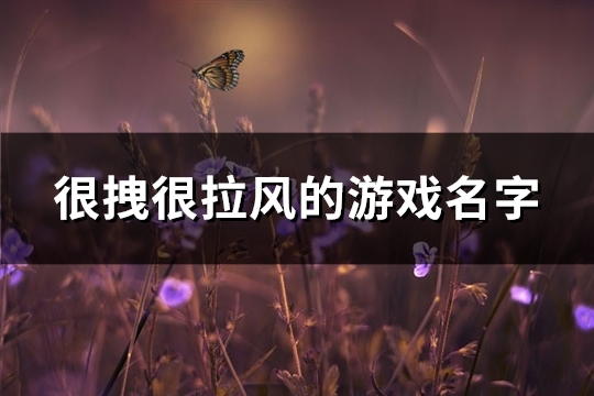 很拽很拉风的游戏名字(441个)