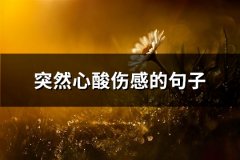 突然心酸伤感的句子(实用88句)