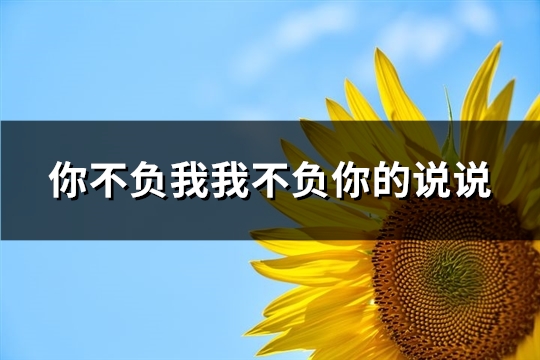 你不负我我不负你的说说(优选52句)