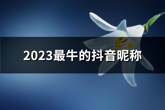 2023最牛的抖音昵称(355个)(2023最牛的抖音介绍)