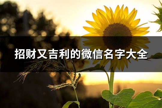招财又吉利的微信名字大全(497个)(招财又吉利的微信签名)