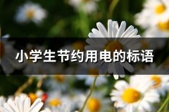 小学生节约用电的标语(推荐44句)