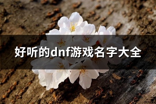 好听的dnf游戏名字大全(精选112个) 好听的dnf游戏名字大全(精选112个)