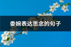 委婉表达思念的句子(通用78句)