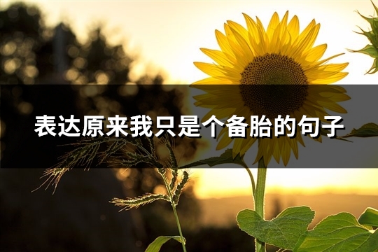 表达原来我只是个备胎的句子