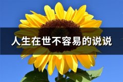 人生在世不容易的说说(优选108句)