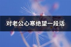 对老公心寒绝望一段话(汇总58句)