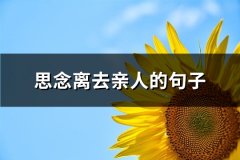 思念离去亲人的句子(优选64句)