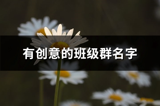 有创意的班级群名字(优选162个)(有创意的班级群名称有哪些)