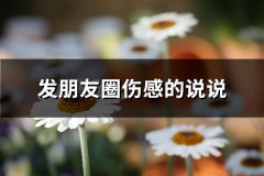 发朋友圈伤感的说说(56句)