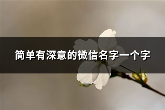 简单有深意的微信名字一个字(共215个)(简单有深意的微信名字女)