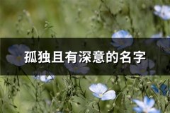 孤独且有深意的名字(200个)