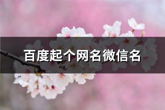 百度起个网名微信名(569个)(百度网名大全女生网名)