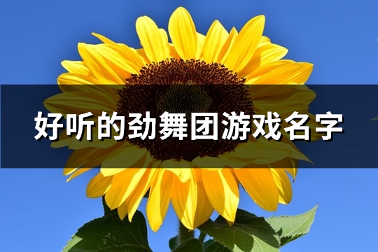 好听的劲舞团游戏名字(共108个)(劲舞团好听的舞曲)