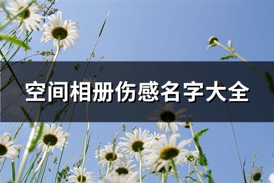 空间相册伤感名字大全(精选128个)(伤感qq相册名称大全)