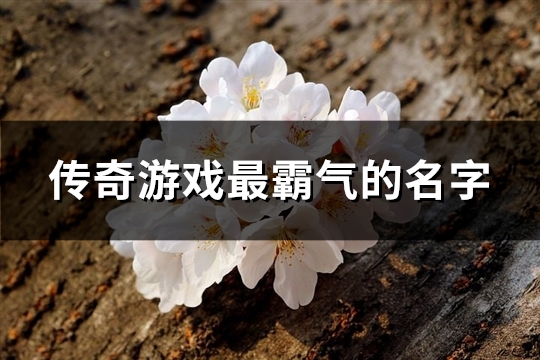 传奇游戏最霸气的名字(共330个)(传奇游戏霸气名字大全男孩)
