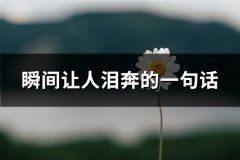 瞬间让人泪奔的一句话(优选75句)
