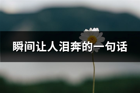 瞬间让人泪奔的一句话(优选75句)