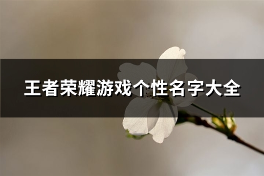 王者荣耀游戏个性名字大全(共331个)(王者荣耀游戏个性英文名)