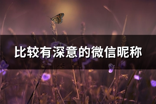 比较有深意的微信昵称(488个)(比较有深意的微信头像)