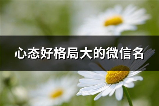 心态好格局大的微信名(精选330个)(心态好格局大的词语)