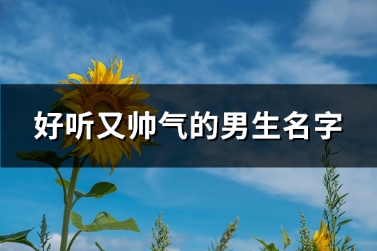 好听又帅气的男生名字(精选87个)(好听又帅气的男生假名)
