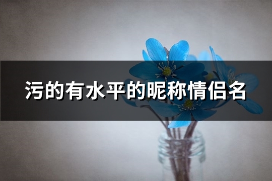 污的有水平的昵称情侣名(精选34个)(污力十足的网名)