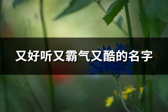 又好听又霸气又酷的名字(精选414个)(又好听又霸气又酷的歌女生)
