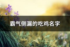 霸气侧漏的吃鸡名字(共180个)