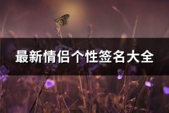 最新情侣个性签名大全(212句)