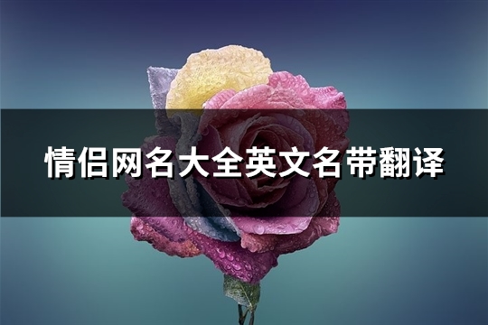 情侣网名大全英文名带翻译(优选85个)(情侣网名情侣英文网名)