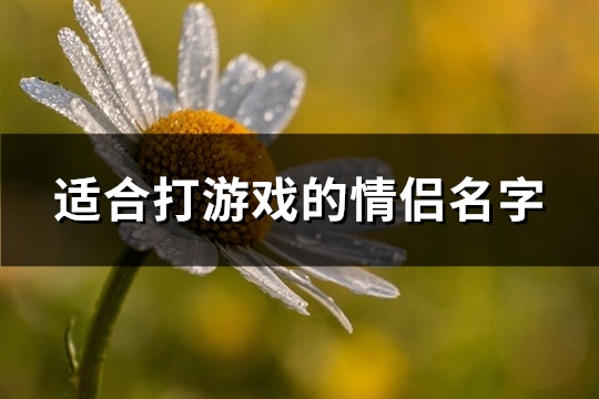 适合打游戏的情侣名字(精选342个)(适合打游戏的情侣名)