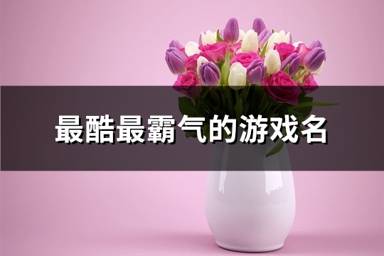 自带高级感的游戏名字(共158个)