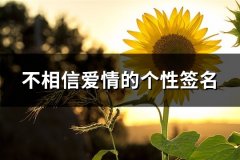 不相信爱情的个性签名(55句)