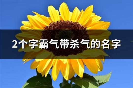 2个字霸气带杀气的名字(1114个)(2个字霸气带杀气的成语有哪些)
