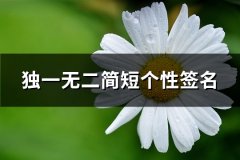 独一无二简短个性签名(实用353句)