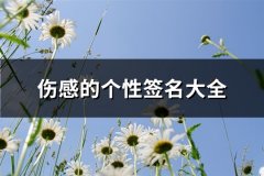 伤感的个性签名大全(优选191句)