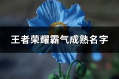 王者荣耀霸气成熟名字(精选320个)
