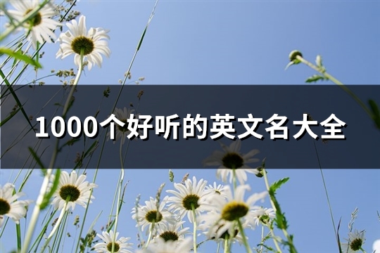 1000个好听的英文名大全(优选135个) 1000个好听的英文艺名