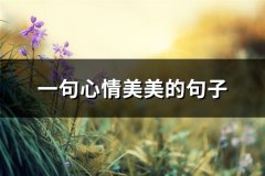 一句心情美美的句子(汇总73句)