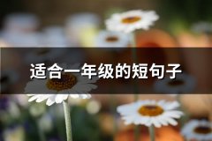 适合一年级的短句子(100句)