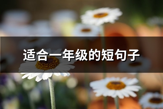 适合一年级的短句子(100句)