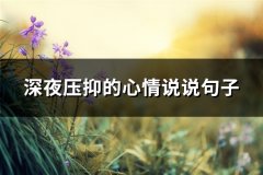 深夜压抑的心情说说句子(实用92句)