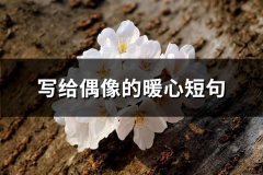 写给偶像的暖心短句(推荐98句)