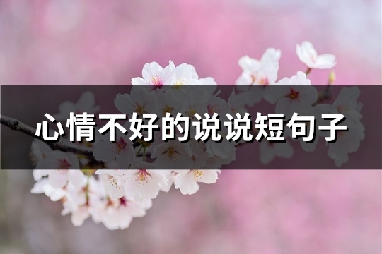心情不好的说说短句子