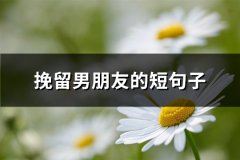 挽留男朋友的短句子