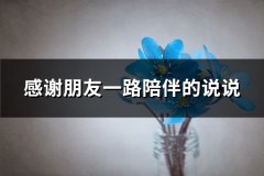 感谢朋友一路陪伴的说说