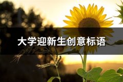 大学迎新生创意标语