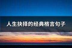 人生抉择的经典格言句子
