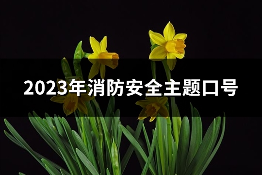 2023年消防安全主题口号